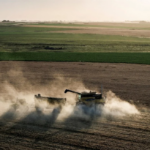 qHoWkTzCO_1300x655__1