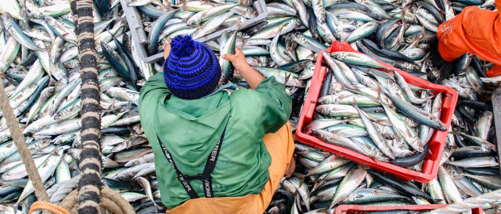 pesca-ilegal