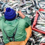 pesca-ilegal
