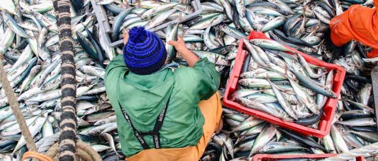 pesca-ilegal